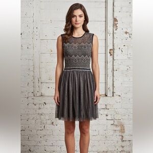 Anthropologie Weston Wear Fit and Flare Dress Size Large Balletcore